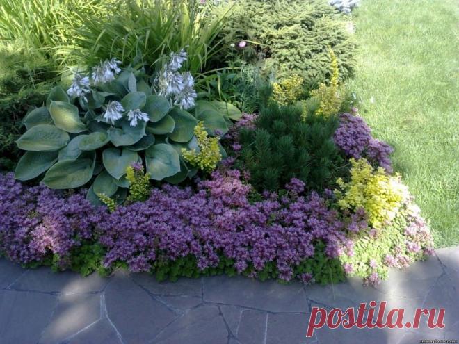 Красивые клумбы: советы по созданию цветников из много- и однолетних растений, схемы, способы подготовки почвы и оформление