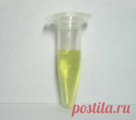 эпин применение для растений