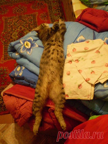 сплю в любой позе)))