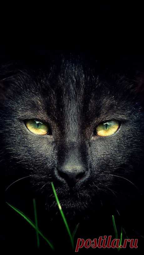 (199) Pinterest