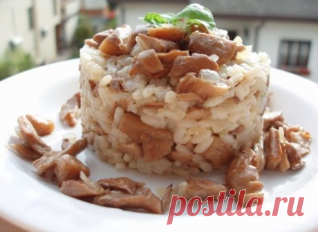 Вешенки с рисом - пошаговый рецепт с фото на Повар.ру