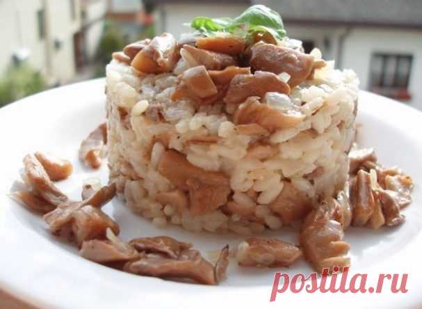 Вешенки с рисом - пошаговый рецепт с фото на Повар.ру
