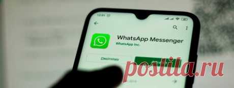10 полезных фишек WhatsApp, о которых вы, скорее всего, не подозревали (часть 2)