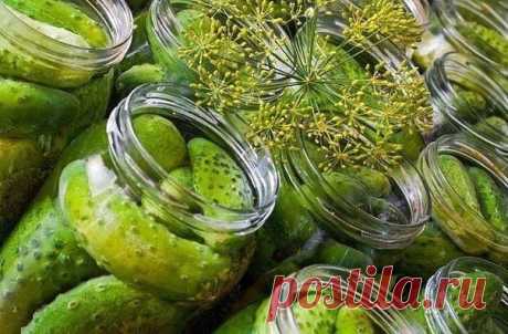 ЛУЧШИЕ РЕЦЕПТЫ ОГУРЦОВ НА ЗИМУ