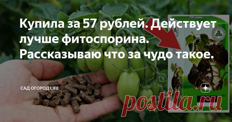 Купила за 57 рублей. Действует лучше фитоспорина. Рассказываю что за чудо такое.