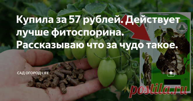 Купила за 57 рублей. Действует лучше фитоспорина. Рассказываю что за чудо такое.