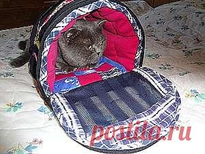 Сумка-переноска для кошки - делаем своими руками