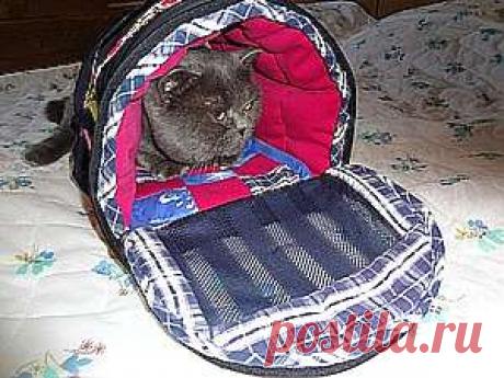 Сумка-переноска для кошки - делаем своими руками