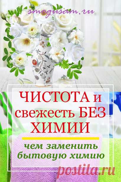 Как и чем заменить бытовую химию