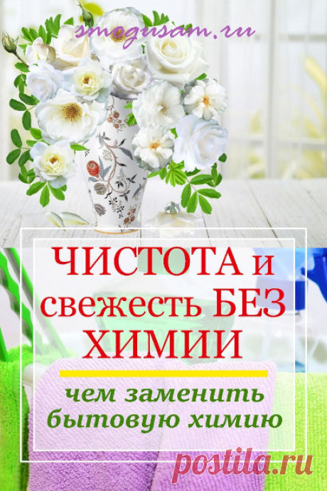 Как и чем заменить бытовую химию