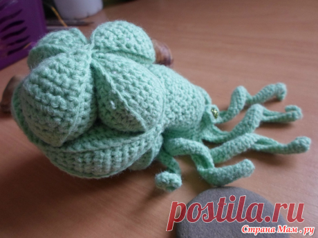 развивашки: Фото альбомы - Страна Мам