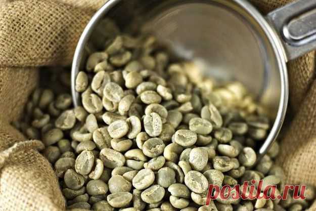 Все, что вы должны знать о зеленом кофе - KitchenMag.ru