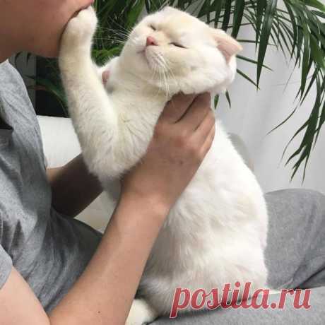 25 животных, которые плевали на эти ваши правила Многие замечают, что животные с каждым годом становятся все умнее и самостоятельнее. А еще — своевольнее. Но они по-прежнему дарят нам тепло и радость, не правда ли?
Мы собрали для вас порцию умилител...