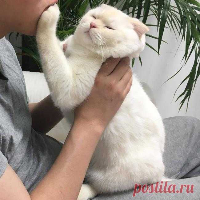 25 животных, которые плевали на эти ваши правила Многие замечают, что животные с каждым годом становятся все умнее и самостоятельнее. А еще — своевольнее. Но они по-прежнему дарят нам тепло и радость, не правда ли?
Мы собрали для вас порцию умилител...