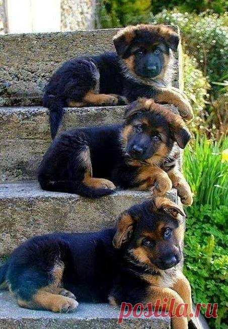 (13) Facebook