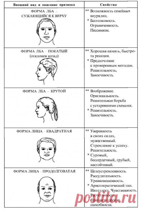 Глава 9. Физиогномические признаки для определения типов личности и типов характера - Научные статьи - Библиотека международной спортивной информации