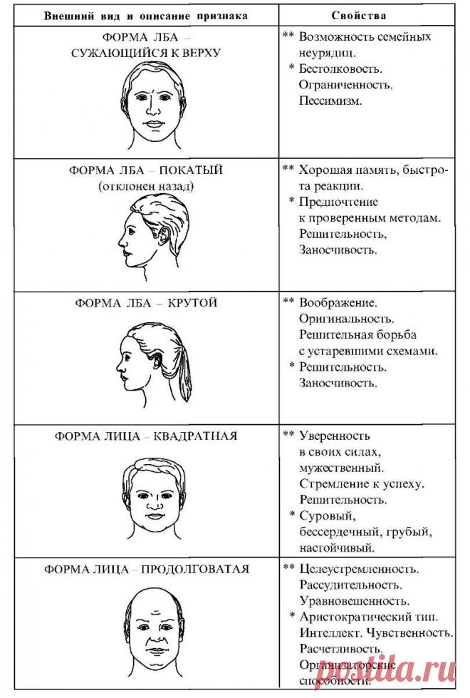 Глава 9. Физиогномические признаки для определения типов личности и типов характера - Научные статьи - Библиотека международной спортивной информации