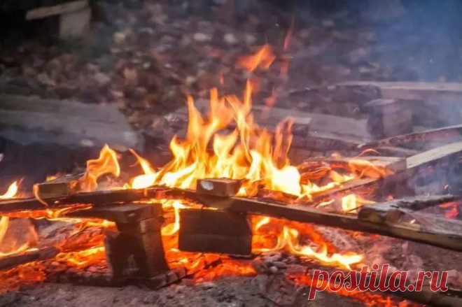 Почему не стоит выбрасывать уголь из костра: лучше разбросайте по грядкам – урожай станете грести лопатами. Обычные люди видят в потухшем костре лишь пепел и золу. Знающие же дачники пристально следят за ценным остатком — древесным углем.