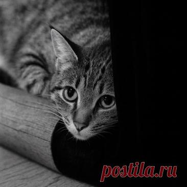 София - OGADANIE.RU