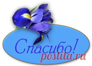 КИТАЙСКИЙ ПРИЕМ: ВОЛШЕБНЫЕ ТОЧКИ ВАШЕГО УХА - 