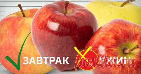 Диетолог предупреждает! Как меняются свойства продуктов в зависимости от времени суток. Обрати внимание, если хочешь похудеть. Завтрак – самый важный прием пищи в течение дня. От него зависит, как ты будешь себя чувствовать в течение всего дня, и, в частности, на сколько ты похудеешь или наберешь вес. Поэтому важно знать, что именно полезно есть утром, а что не стоит. В первой половине дня наш организм тратит много энергии на переваривание пищи. Чтобы ее восполнить, организму нужна энергия, ко…