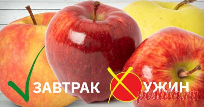 Диетолог предупреждает! Как меняются свойства продуктов в зависимости от времени суток. Обрати внимание, если хочешь похудеть. Завтрак – самый важный прием пищи в течение дня. От него зависит, как ты будешь себя чувствовать в течение всего дня, и, в частности, на сколько ты похудеешь или наберешь вес. Поэтому важно знать, что именно полезно есть утром, а что не стоит. В первой половине дня наш организм тратит много энергии на переваривание пищи. Чтобы ее восполнить, организму нужна энергия, ко…