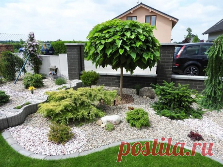 Зеленый оазис посреди сада