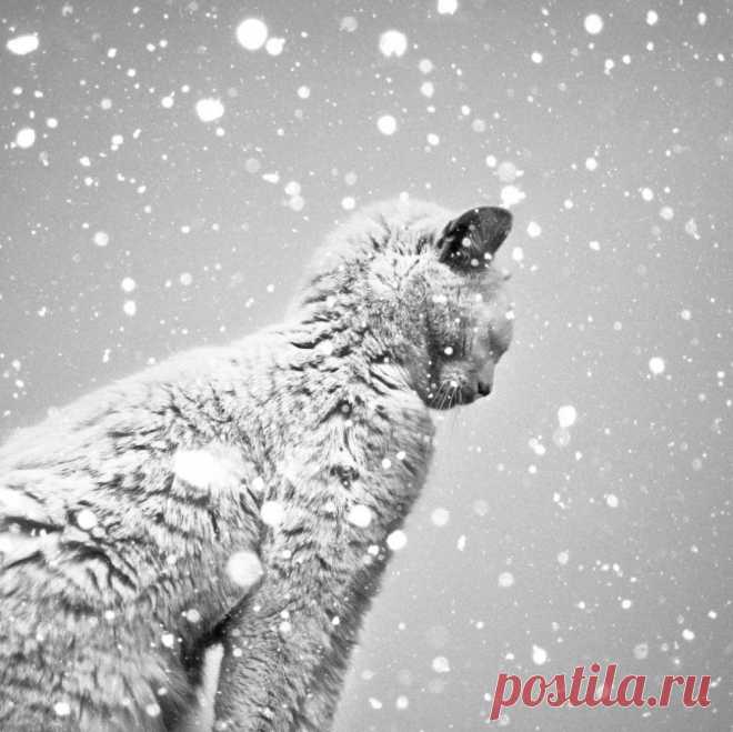 Фотографии, которые позволяют увидеть и почувствовать больше...