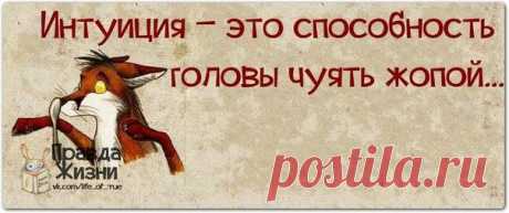 Фотографии на стене сообщества | 32 804 фотографии