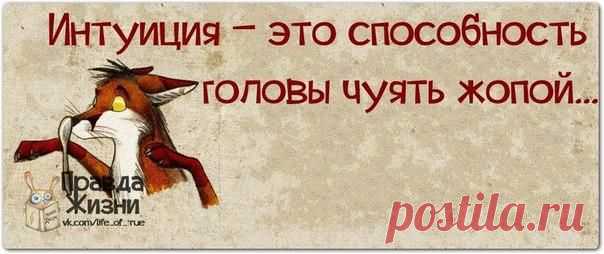 Фотографии на стене сообщества | 32 804 фотографии