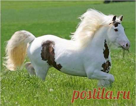 Легкий завтрак