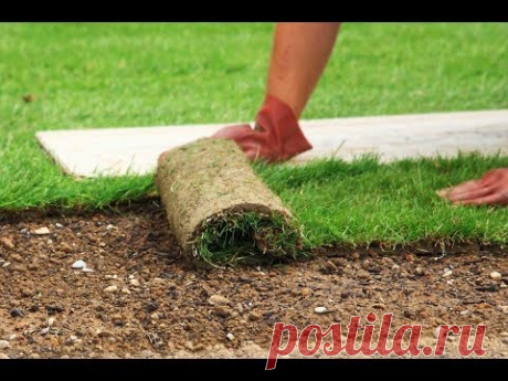 КАК УЛОЖИТЬ РУЛОННЫЙ ГАЗОН .КАК #ОЗЕЛЕНИТЬ УЧАСТОК.#ИДЕИДЛЯБИЗНЕСА #ДАЧА С ТРАВОЙ #26 #oldenburgru - YouTube