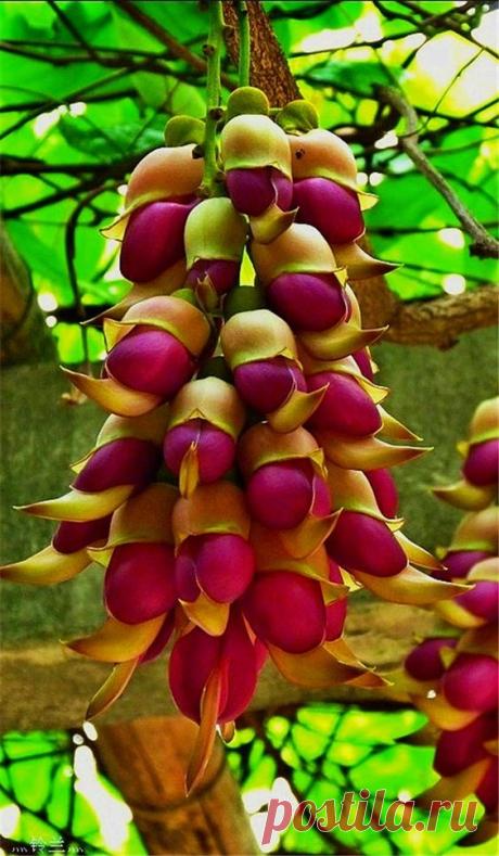 (585) Pinterest