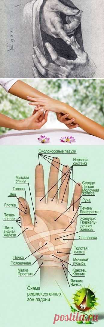 цитата valia_by : СЕКРЕТ ДРЕВНИХ ВРАЧЕВАТЕЛЕЙ! ВСЕГО ОДНО ДВИЖЕНИЕ УЛУЧШИТ ВАШЕ ЗДОРОВЬЕ! (08:40 30-10-2015) [4426181/375504902] - nimfa58@mail.ru - Почта Mail.Ru