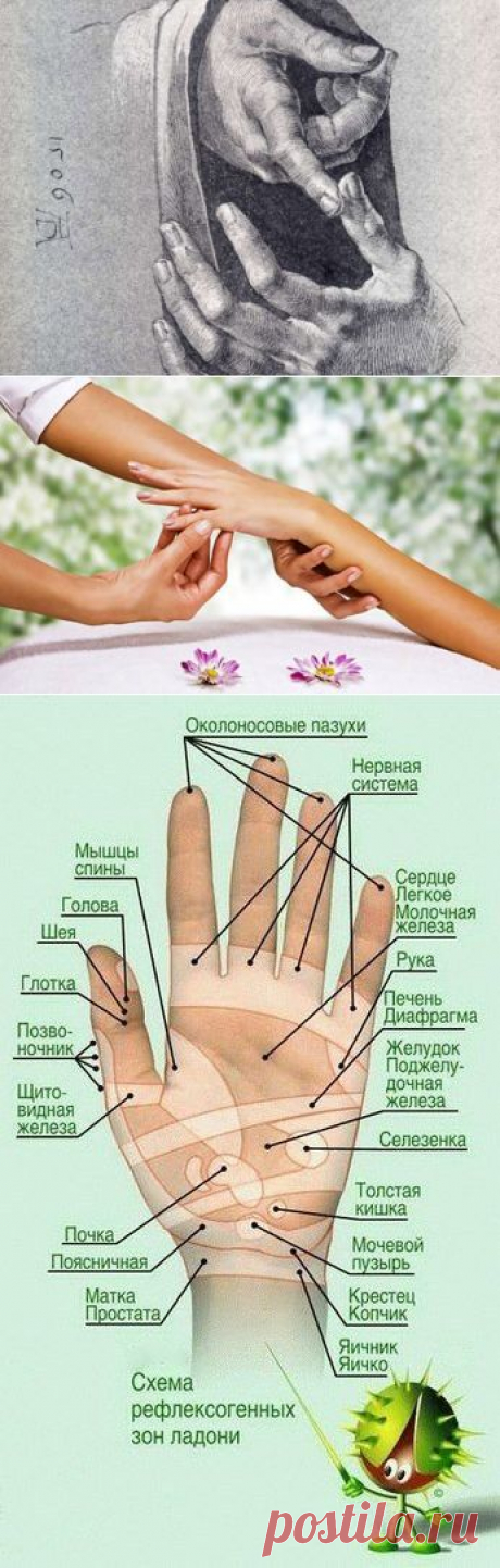 цитата valia_by : СЕКРЕТ ДРЕВНИХ ВРАЧЕВАТЕЛЕЙ! ВСЕГО ОДНО ДВИЖЕНИЕ УЛУЧШИТ ВАШЕ ЗДОРОВЬЕ! (08:40 30-10-2015) [4426181/375504902] - nimfa58@mail.ru - Почта Mail.Ru