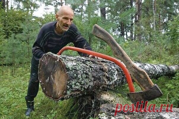 Если тень твоя так прекрасна, каков же ты сам? Простые правила жизни от Петра Мамонова:
