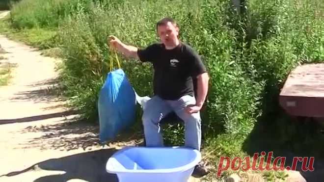1 непрочитанный чат
