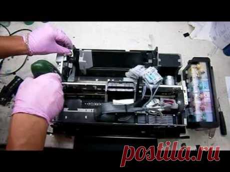Разборка Epson L800, T50, P50, R290, R295. User dismantling Epson L800, T50, P50, R290, R295 - YouTube