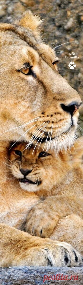 (328) Pinterest