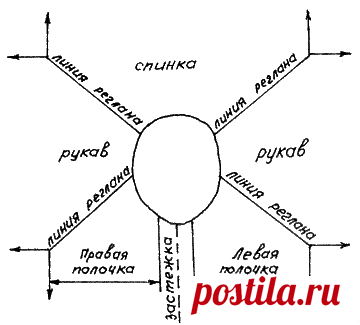 реглан для йорка