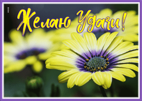 Картинка на удачу с яркими цветами