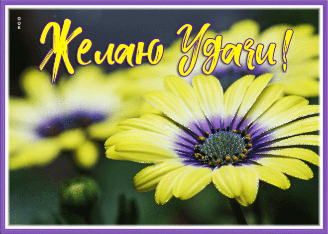 Картинка на удачу с яркими цветами