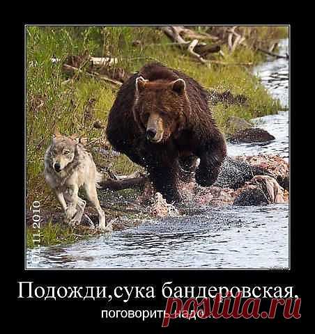 Мой Мир@Mail.Ru