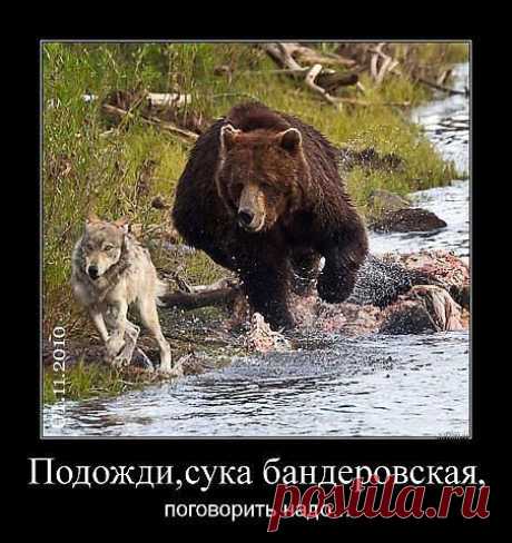 Мой Мир@Mail.Ru