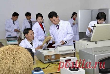 Делегация агротехников из КНДР отправилась в Россию. Агротехническая делегация КНДР отправилась из Пхеньяна в Россию. Делегацию специалистов в сфере сельского хозяйства возглавил президент Академии сельскохозяйственных наук Ким Гван Ук. Как уточняет ЦТАК, агротехники вылетели в пятницу, 9 февраля.