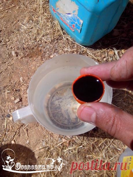 Гуминовые удобрения: свойства, польза и применение органоминеральных подкормок.