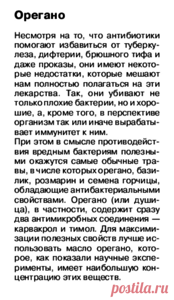 Душица (орегано)