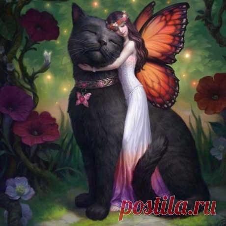 (373) Pinterest
