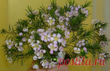 Мой Мир@Mail.Ru