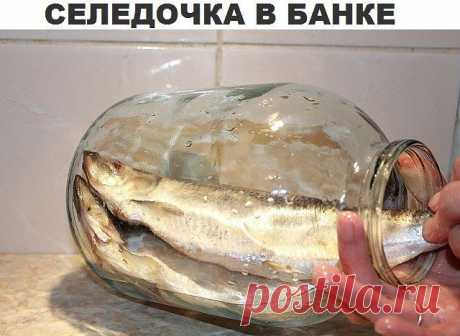 селедочка в банке